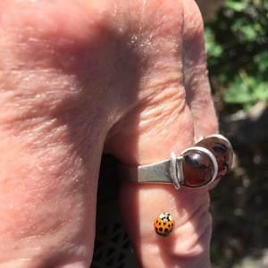 Meet your Posher, Bill